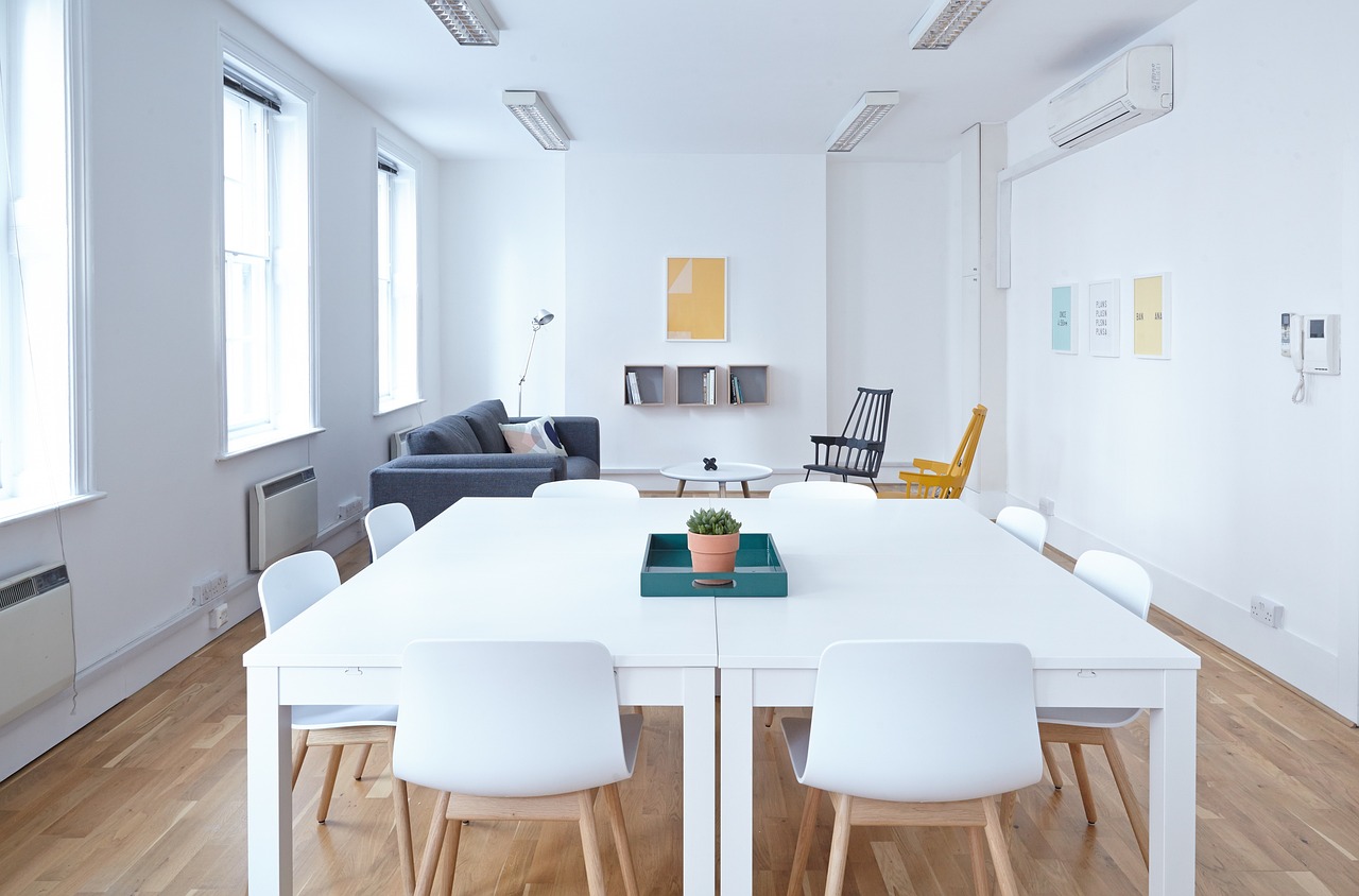white, room, business, office, table, chairs, nature, vase, flower, beautiful flowers, plant, couch,